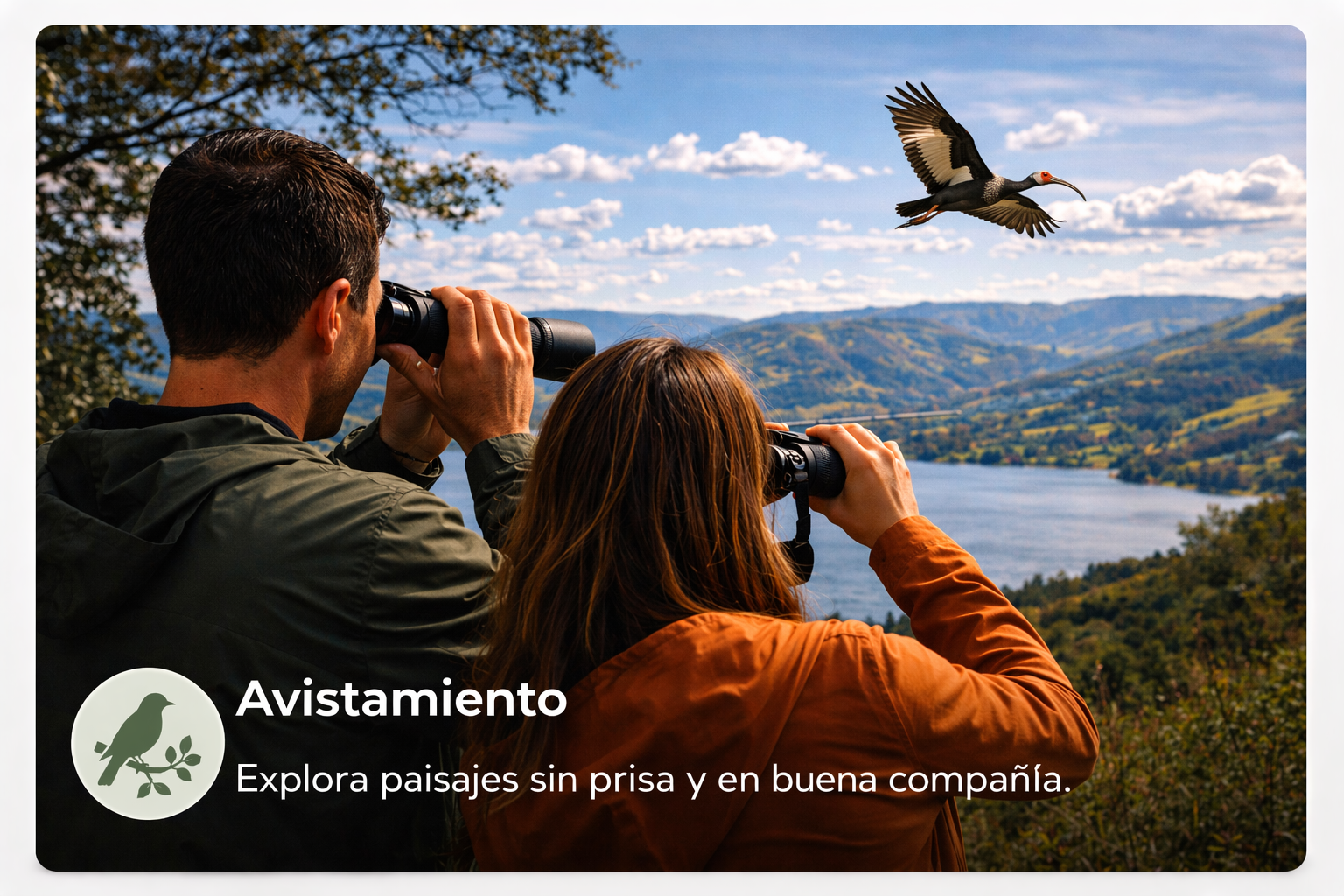Avistamiento de aves en Suesca: 30 especies por descubrir