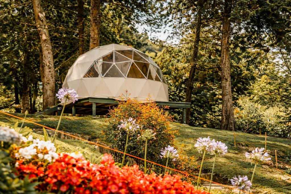 Glamping Tierra en Alma de Campo Glamping — foto 3